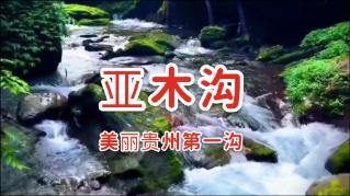 如何办理结婚证？
